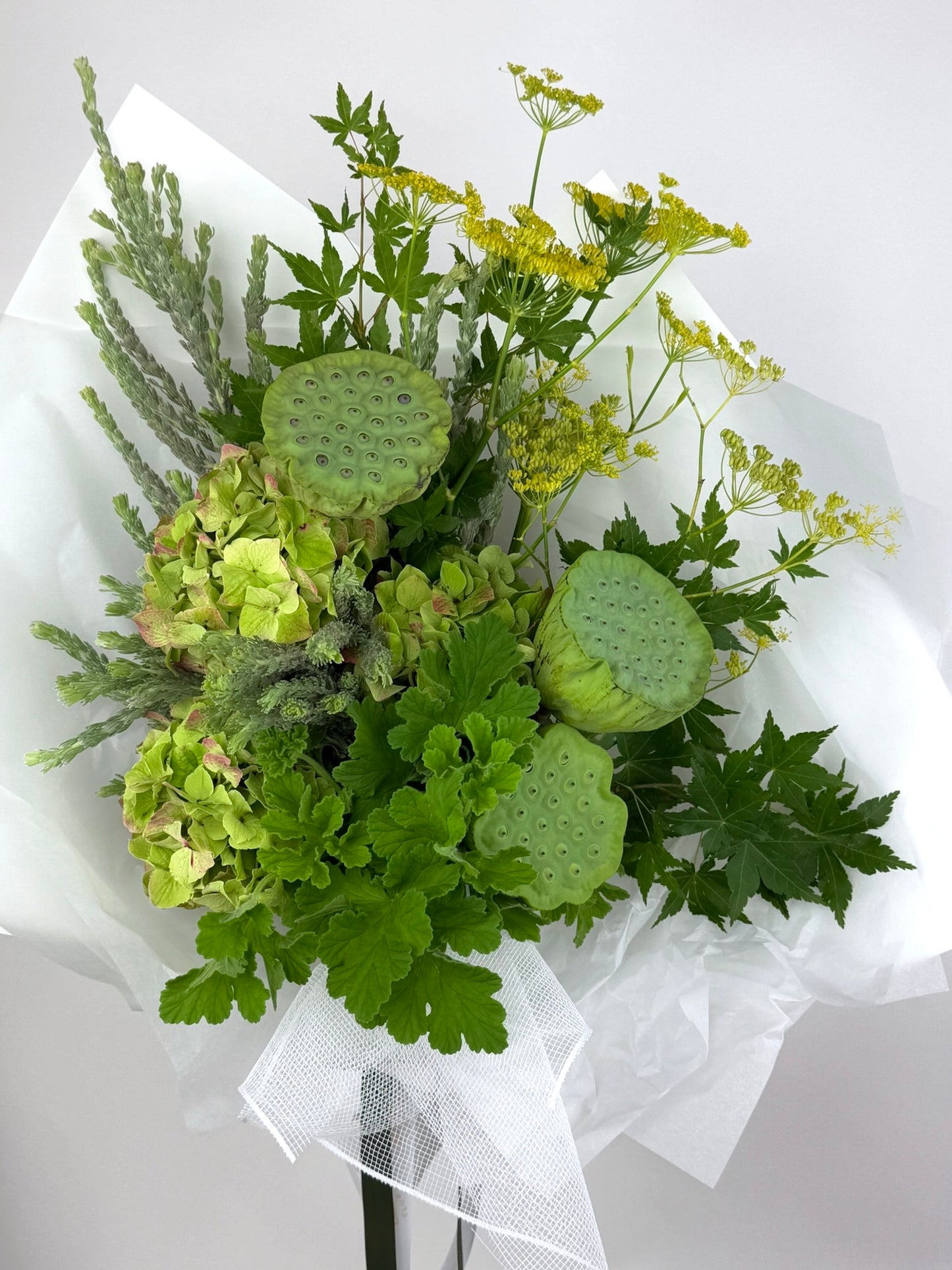 BOTANICAL