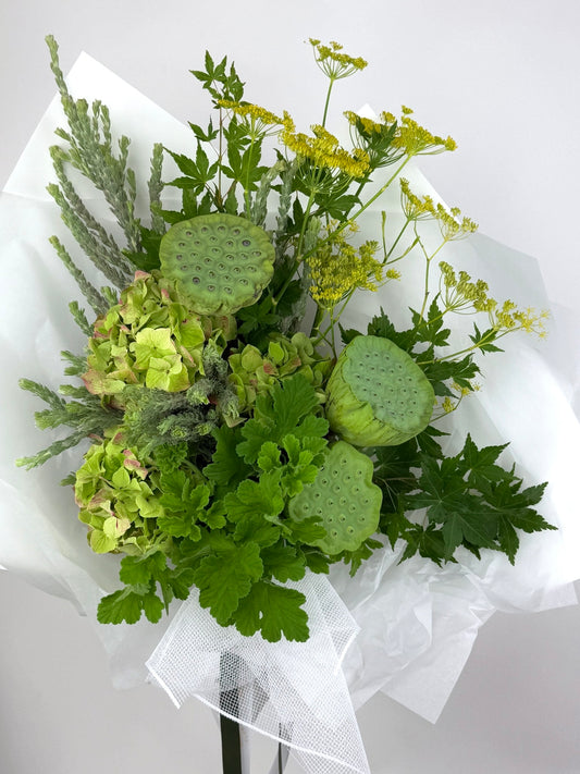 BOTANICAL