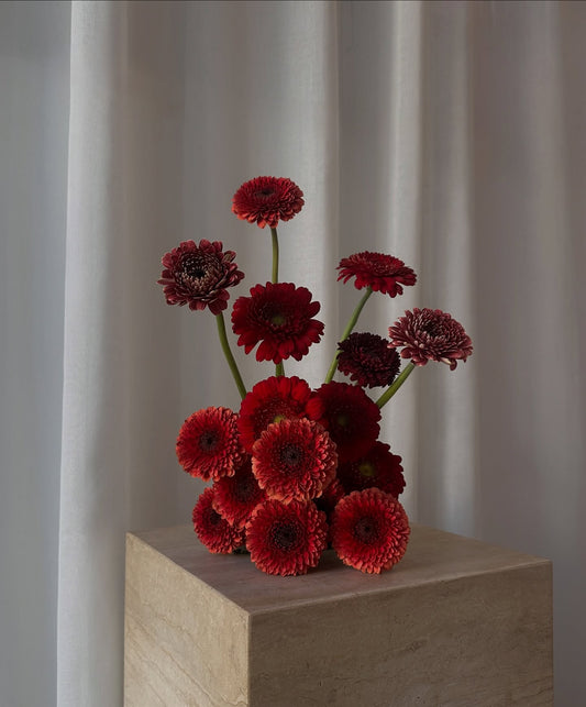 When Gerberas take the show ❤️