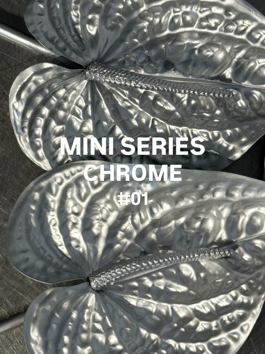 Mini Series: CHROME #01 🩶🪙🌚